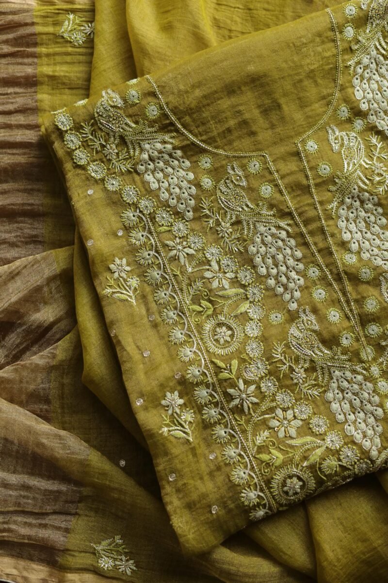 Roheen Tissue Silk Chikankari Fabrics