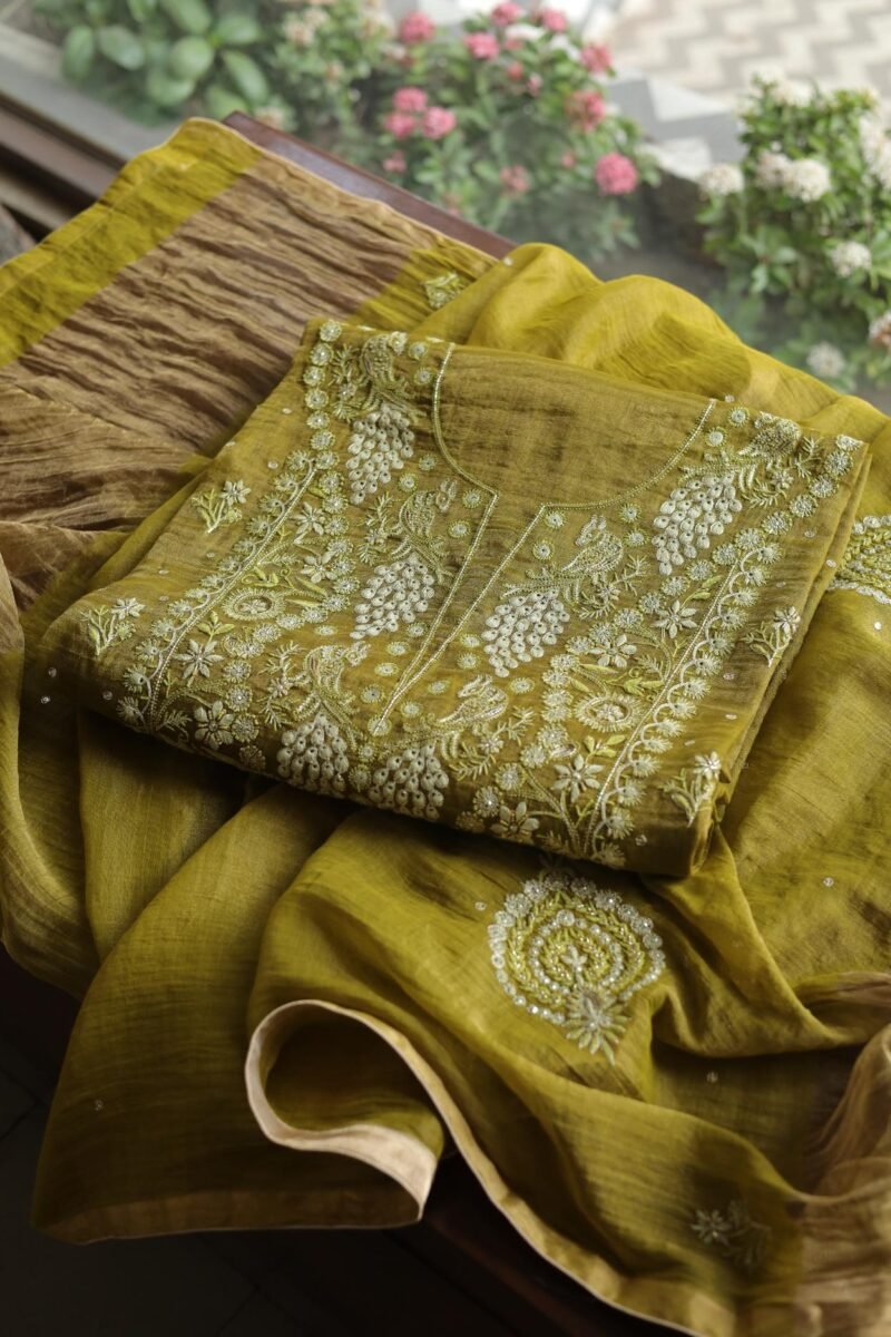 Roheen Tissue Silk Chikankari Fabrics