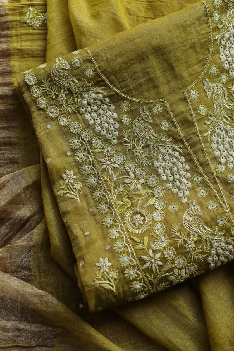 Roheen Tissue Silk Chikankari Fabrics