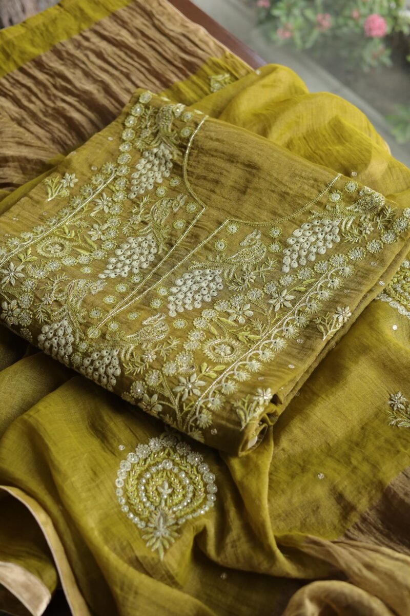 Roheen Tissue Silk Chikankari Fabrics