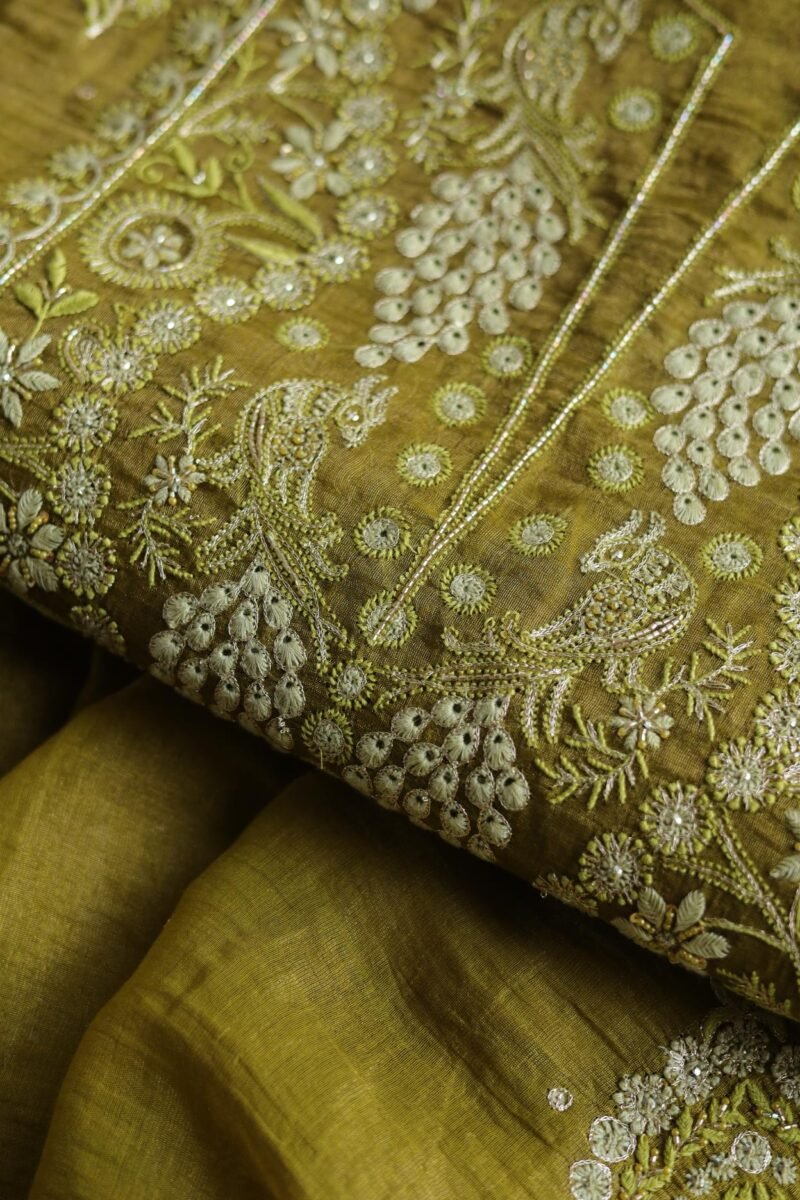Roheen Tissue Silk Chikankari Fabrics