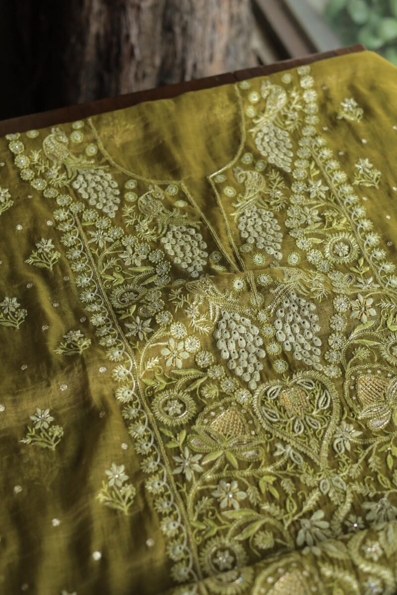 Roheen Tissue Silk Chikankari Fabrics