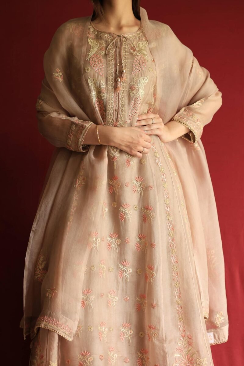 Pastel Beige Noor Organza Chikankari Anarkali With Dupatta
