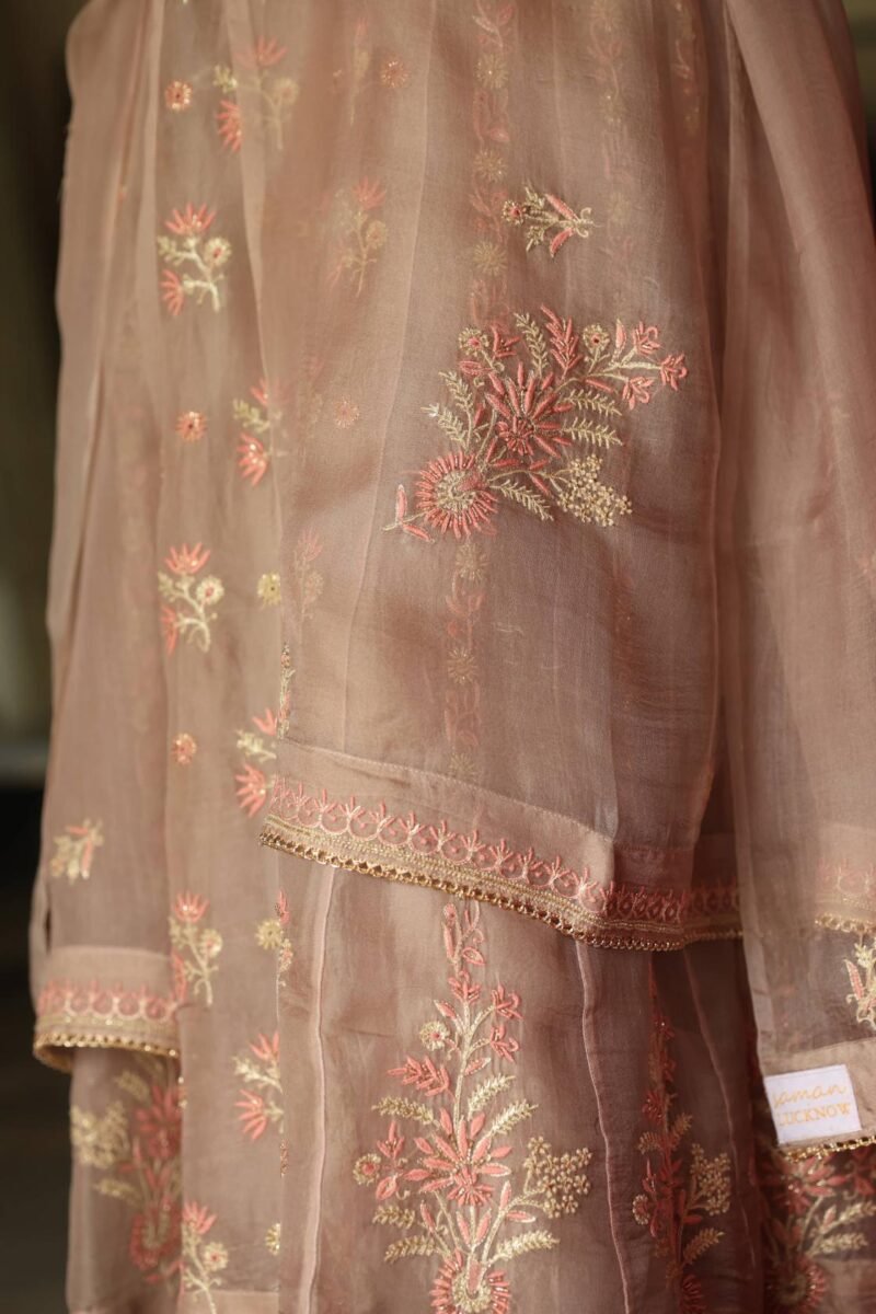Pastel Beige Noor Organza Chikankari Anarkali With Dupatta
