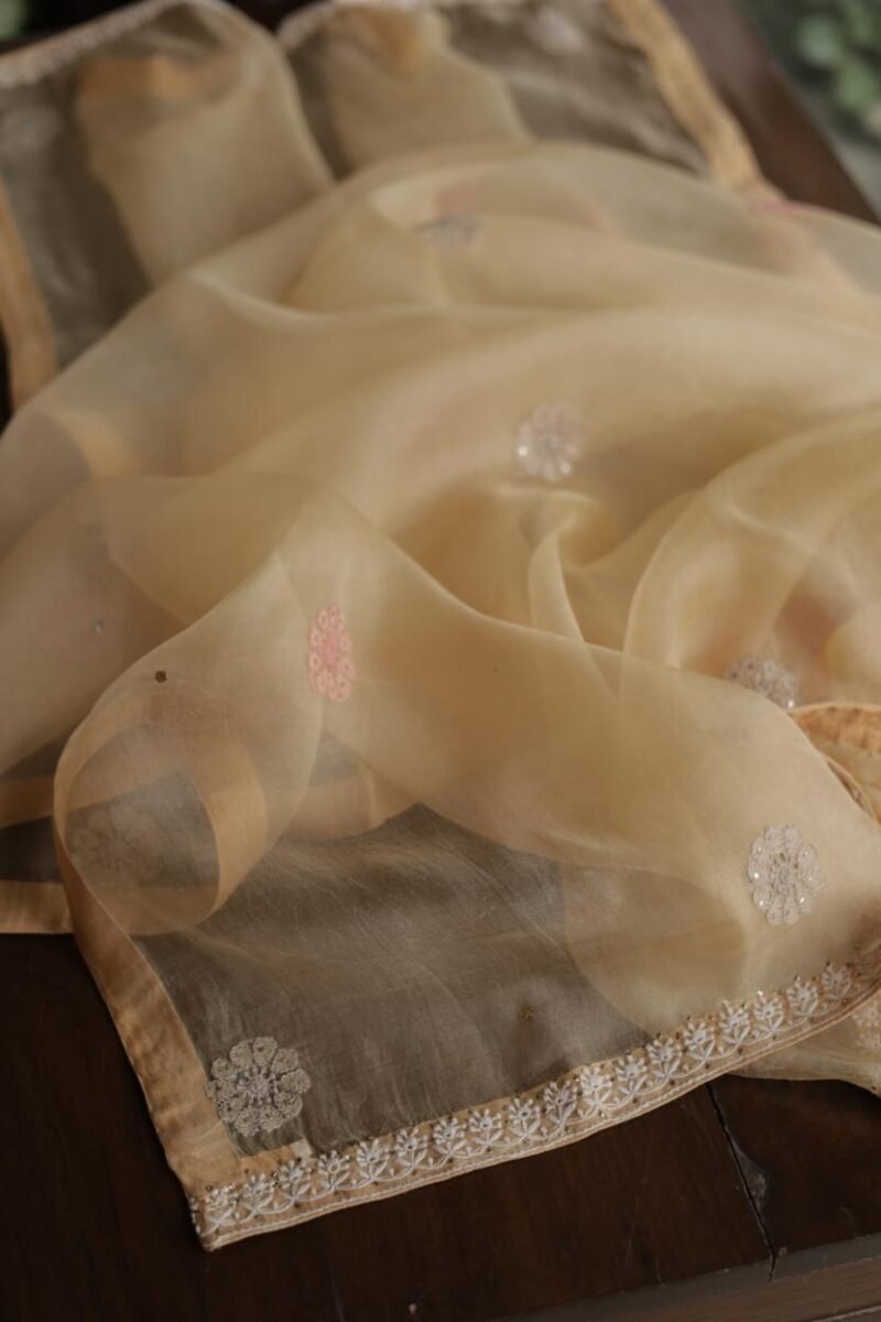 Beige Noor Organza Silk Chikankari With Mukaish Kamdani Fabric