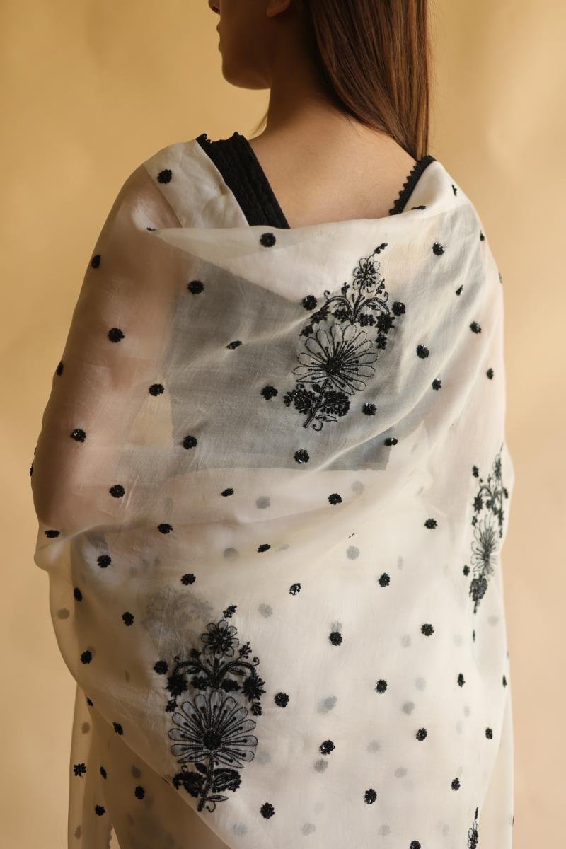 Monochrome Silk Organza Chikankari Saree With Sequins & Beads Work