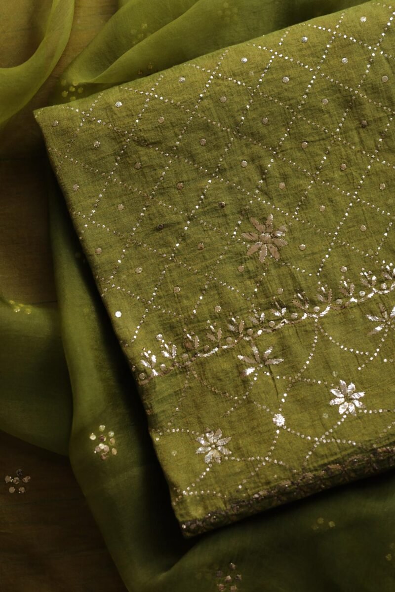 Roheen Tissue Silk Chikankari Fabrics