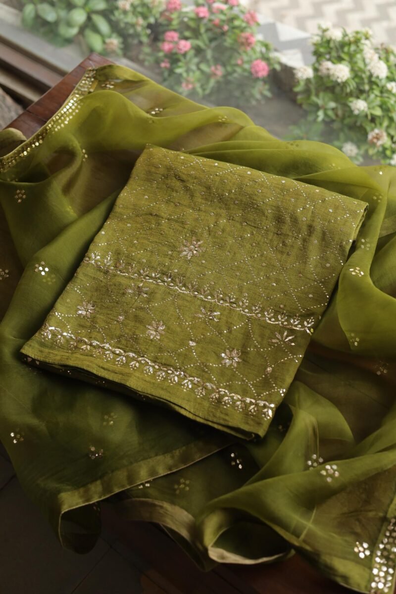 Roheen Tissue Silk Chikankari Fabrics