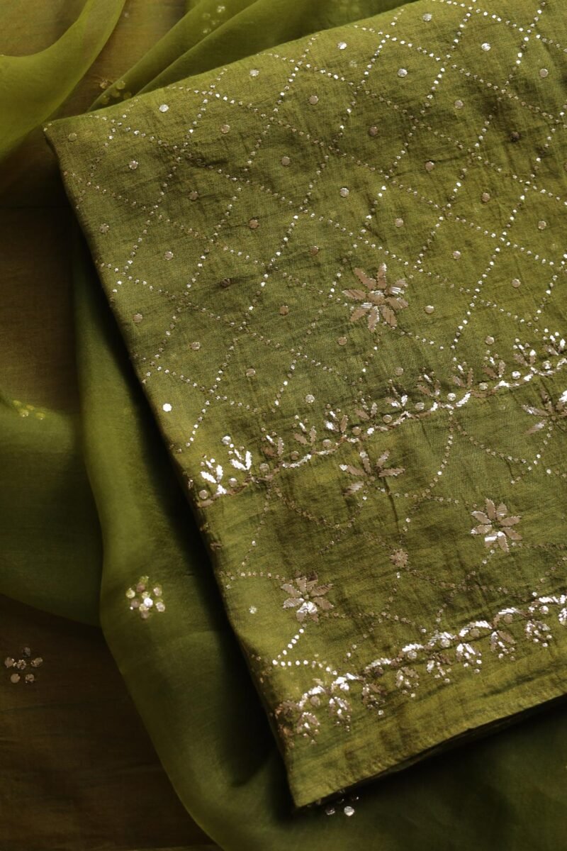Roheen Tissue Silk Chikankari Fabrics