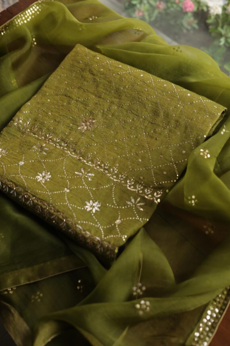 Roheen Tissue Silk Chikankari Fabrics