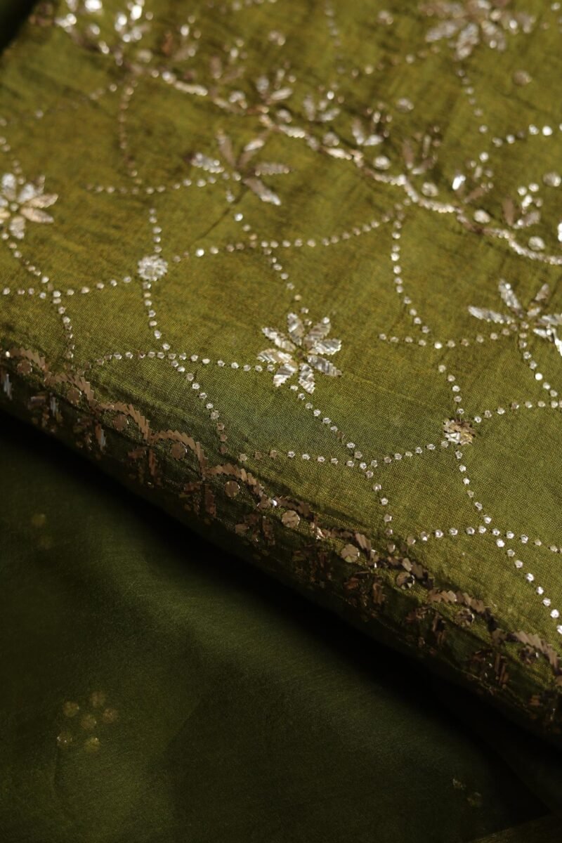 Roheen Tissue Silk Chikankari Fabrics