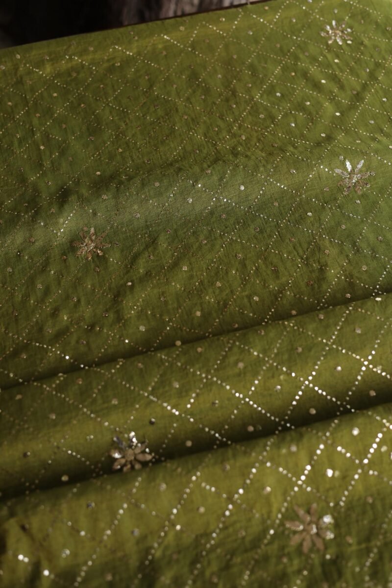 Roheen Tissue Silk Chikankari Fabrics
