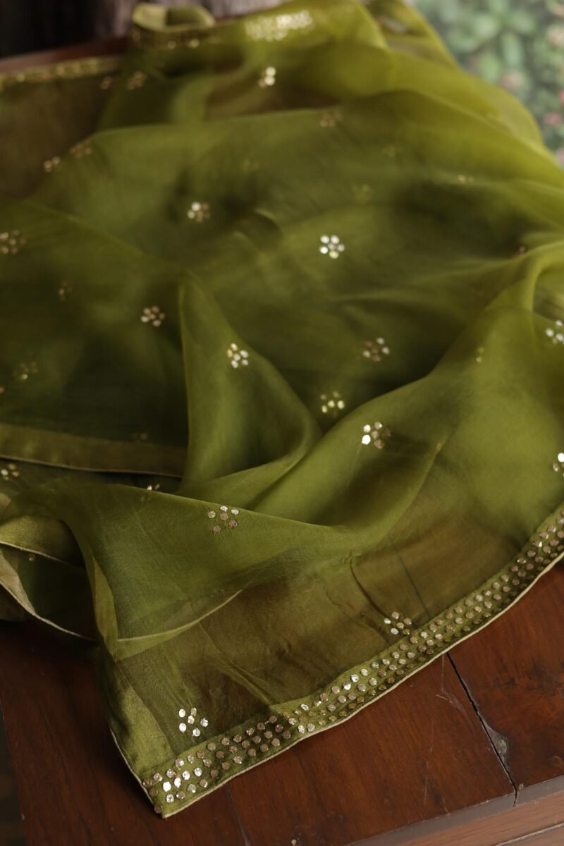 Roheen Tissue Silk Chikankari Fabrics