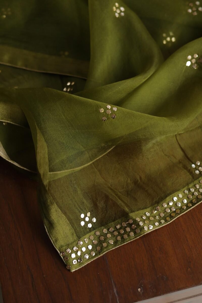 Roheen Tissue Silk Chikankari Fabrics